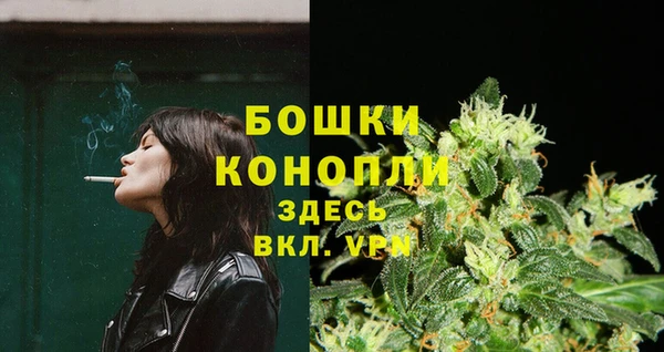 дживик Баксан
